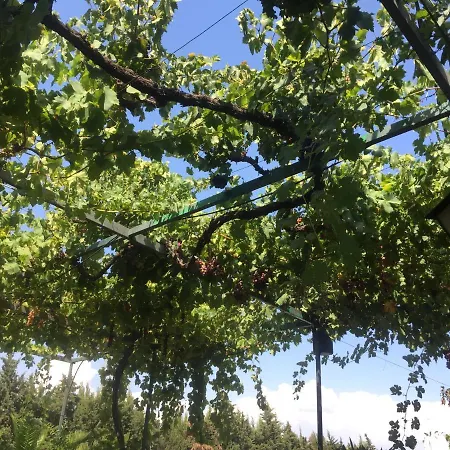 Appartamento ático Calle España - Junto Al Mar Fuengirola